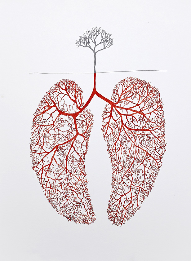 FBNataliaPastor Rizografías pulmones