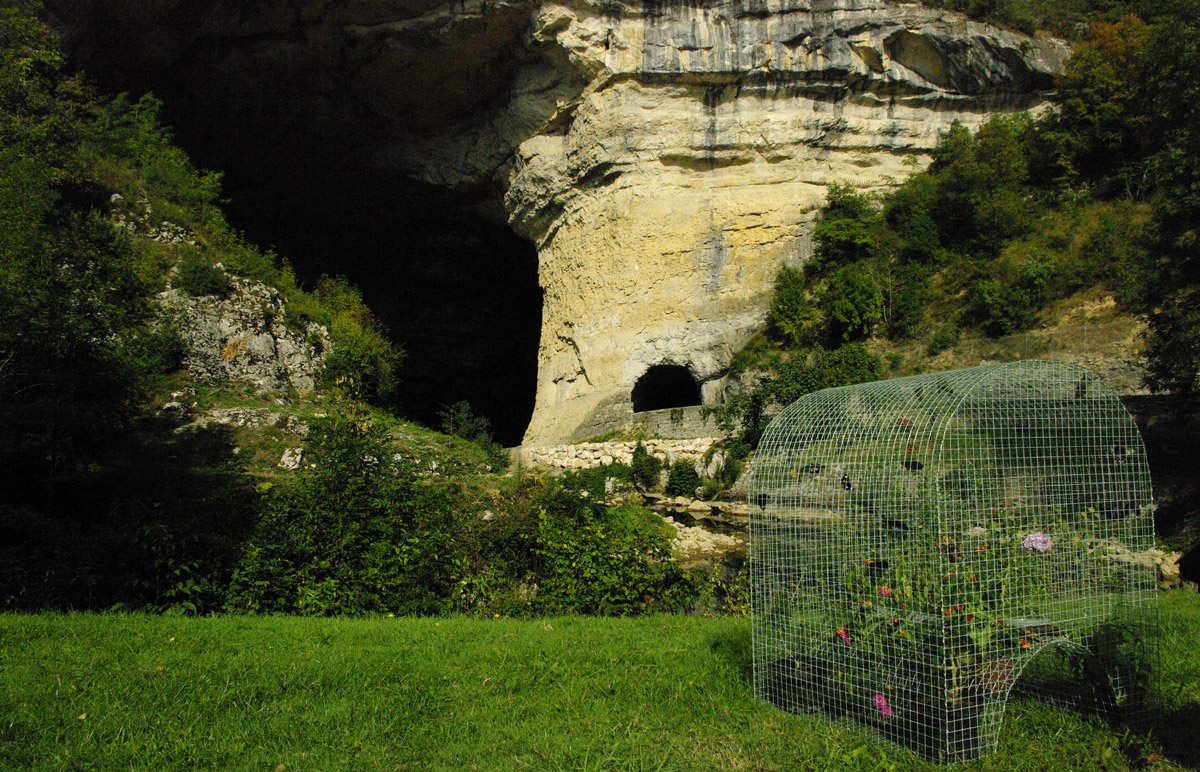 la grotte et la cage